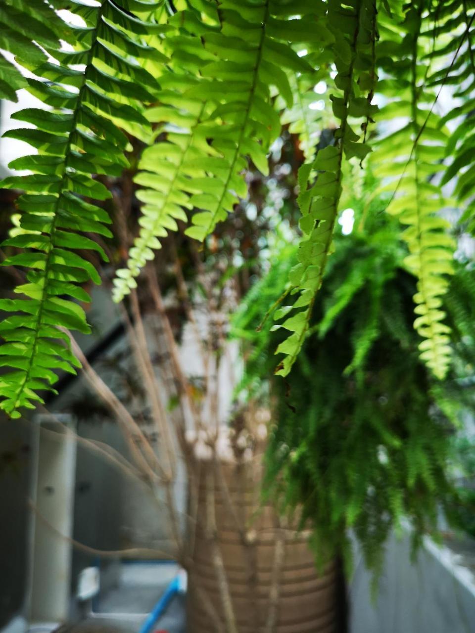 Get Guesthouse 2 Hat Yai Exterior photo